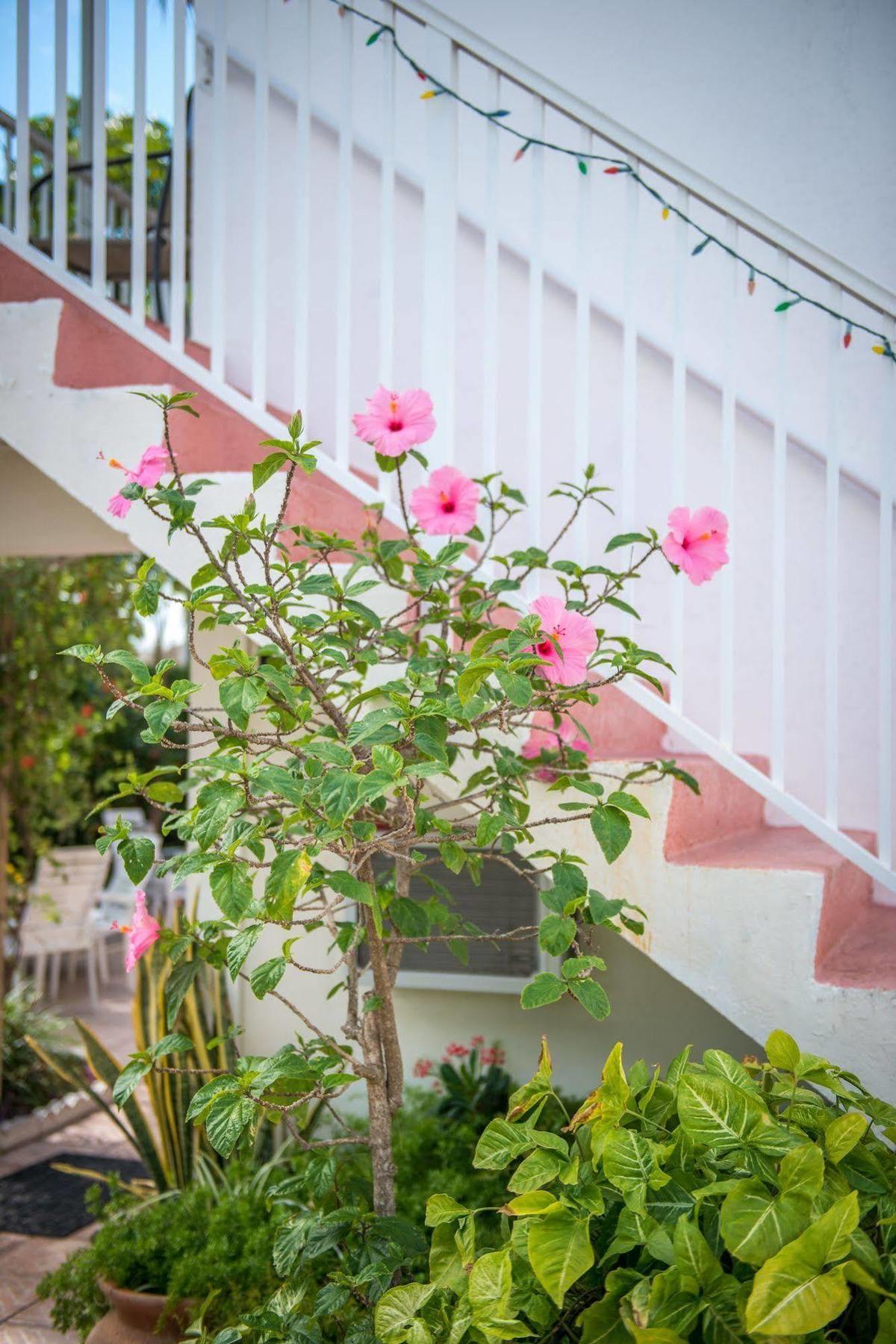 Shore Haven Resort Inn Fort Lauderdale Exterior photo